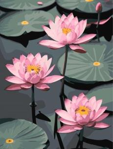 Malowanie po numerach - Kruche Lotosy 30x40cm. Wydawca: Qbee. Multiszop.pl Opakowanie Malowanie po numerach - Kruche Lotosy 30x40cm