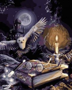 Opakowanie Malowanie po numerach - Księga Magii 40x50 cm