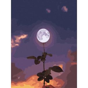 Opakowanie Malowanie po numerach - Księżycowy kwiat 40x50