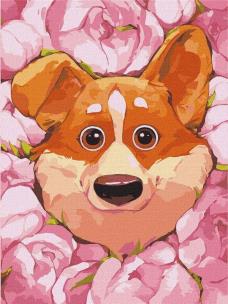 Opakowanie Malowanie po numerach - Kwitnące corgi 30x40cm