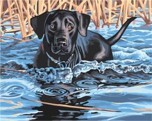 Opakowanie Malowanie po numerach - Labrador Retriever 40x50cm