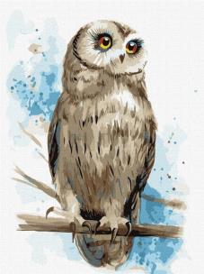 Opakowanie Malowanie po numerach - Mądry wygląd 30x40