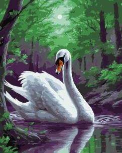 Malowanie po numerach - Magiczny łabędź 40x50cm. Wydawca: Qbee. Multiszop.pl Opakowanie Malowanie po numerach - Magiczny łabędź 40x50cm