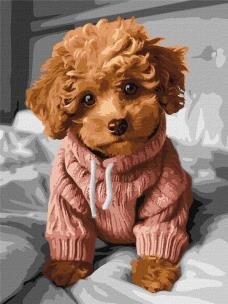 Opakowanie Malowanie po numerach - Magiczny Maltipoo 30x40cm