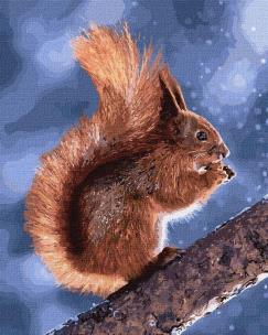 Opakowanie Malowanie po numerach - Mała wiewiórka 40x50cm