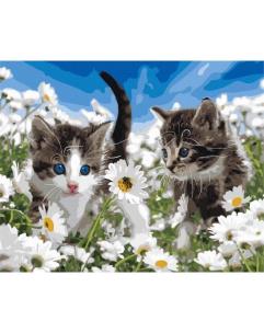 Opakowanie Malowanie po numerach - Małe kocięta 40x50