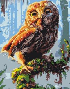 Opakowanie Malowanie po numerach - Młoda sówka 40x50cm