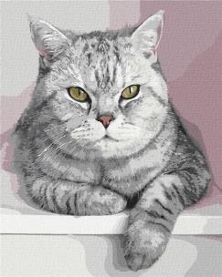 Opakowanie Malowanie po numerach - Mój futrzany przyjaciel