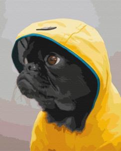 Opakowanie Malowanie po numerach - Mops w kapturze 40x50cm