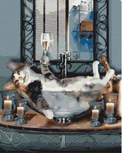 Opakowanie Malowanie po numerach - Musujący kot 40x50cm