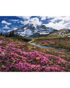 Opakowanie Malowanie po numerach - Na próbach 40x50cm