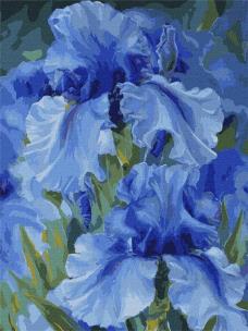 Opakowanie Malowanie po numerach - Niebieskie tęczówki 30x40