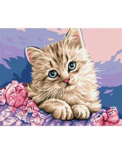 Opakowanie Malowanie po numerach - Niebieskooki kotek 40x50cm