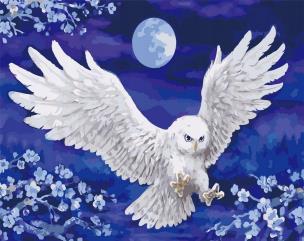 Opakowanie Malowanie po numerach - Nocna sowa 40x50cm