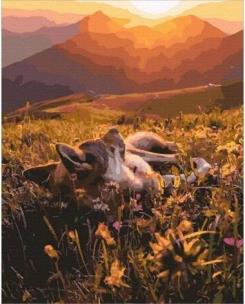 Opakowanie Malowanie po numerach - Odpoczynek w górach 40x50