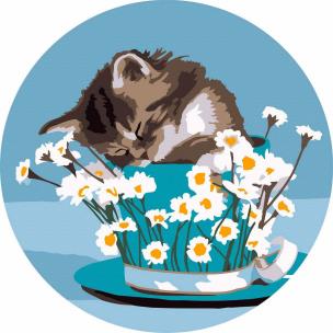 Opakowanie Malowanie po numerach okrągłe - Kotek i stokrotki