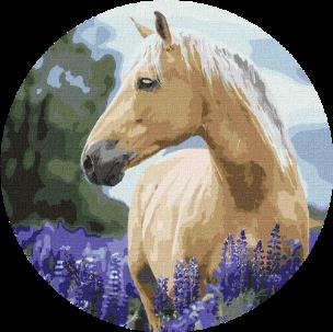 Opakowanie Malowanie po numerach owalne Koń w lawendzie