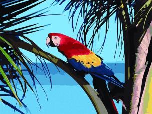 Opakowanie Malowanie po numerach - Papuga 30x40cm