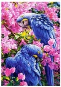 Malowanie po numerach Papugi fioletowe w kwiatach. Wydawca: Norimpex. Multiszop.pl Opakowanie Malowanie po numerach Papugi fioletowe w kwiatach
