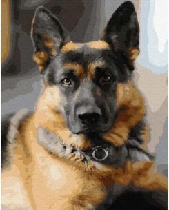 Opakowanie Malowanie po numerach - Pasterz 40x50cm