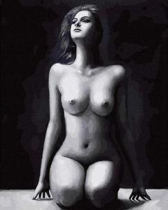 Opakowanie Malowanie po numerach - Piękno ciała 40x50cm