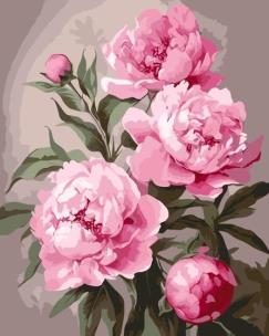 Malowanie po numerach - Piwonia 40x50cm. Wydawca: Qbee. Multiszop.pl Opakowanie Malowanie po numerach - Piwonia 40x50cm