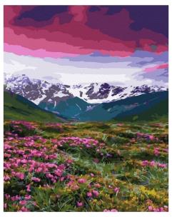 Opakowanie Malowanie po numerach - Pole kwiatów 40x50