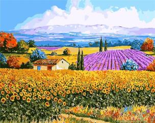 Opakowanie Malowanie po numerach - Pole kwiatowe 40x50cm