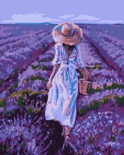 Opakowanie Malowanie po numerach - Pole lawendy 40x50cm