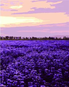 Opakowanie Malowanie po numerach - Południe Francji 40x50cm