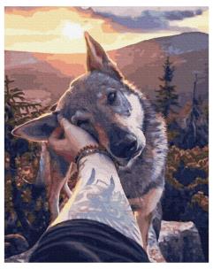 Opakowanie Malowanie po numerach - Przyjaciel 40x50cm