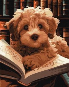 Opakowanie Malowanie po numerach - Puszysty czytelnik 40x50cm