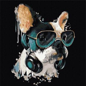 Opakowanie Malowanie po numerach - Puszysty DJ 40x40cm