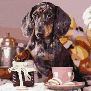 Opakowanie Malowanie po numerach - Puszysty kucharz 40x40