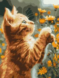 Opakowanie Malowanie po numerach - Rudy puszystek 30x40cm