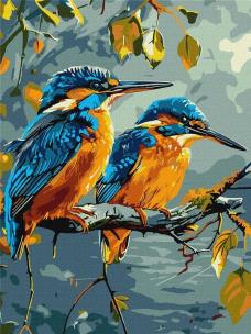 Opakowanie Malowanie po numerach - Skarby natury 30x40cm