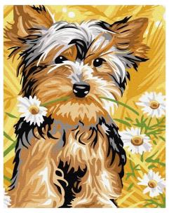 Opakowanie Malowanie po numerach - Słodki pies 40x50cm