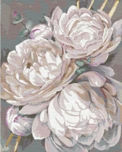 Opakowanie Malowanie po numerach - Śnieżnobiała piwonia 40x50