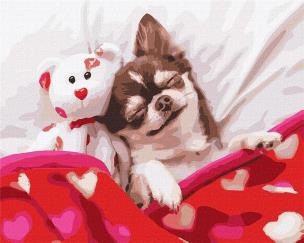 Opakowanie Malowanie po numerach - Śpiąca Królewna 40x50cm