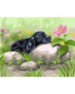 Opakowanie Malowanie po numerach - Śpiący pies 40x50