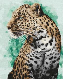 Opakowanie Malowanie po numerach - Spojrzenie 40x50cm