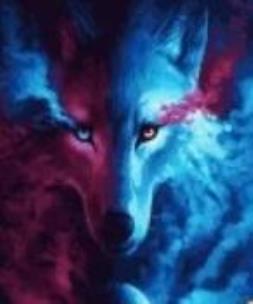 Opakowanie Malowanie po numerach - Spojrzenie wilka 40x50cm