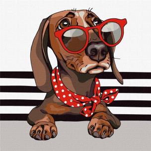 Opakowanie Malowanie po numerach - Stylowy jamnik 40x40