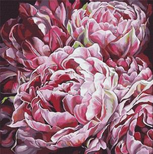 Opakowanie Malowanie po numerach - Szaleństwo kolorów 2 40x40