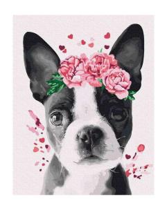 Opakowanie Malowanie po numerach - Szczeniak 40x50 cm