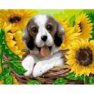 Opakowanie Malowanie po numerach - Szczeniak w Koszyku 40x50