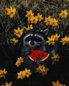 Opakowanie Malowanie po numerach - Szop i arbuz 40x50cm