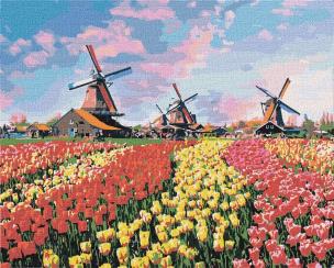 Opakowanie Malowanie po numerach - Tulipany 40x50cm