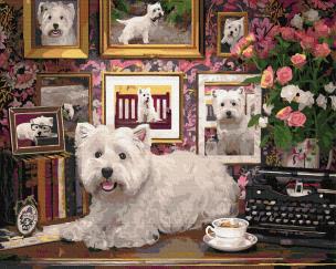 Opakowanie Malowanie po numerach - Ulubiony piesek 40x50cm