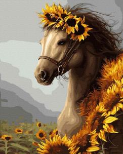 Opakowanie Malowanie po numerach Uroczy koń